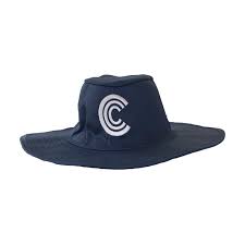 Image result for Clevedon Cc