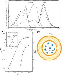 Image result for Shay Laren
