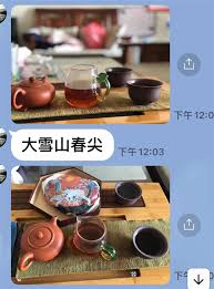 Image result for 2011早春