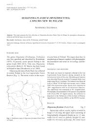 Attēlu rezultāti vaicājumam “Oligonema flavidum sessile”