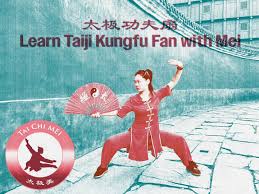 Image result for WUQI KUNG FU AND HEALTH SOCIETY