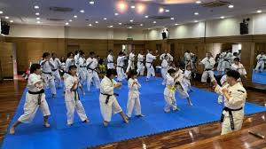Image result for Bournemouth Shorinji Kempo Club