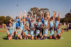 Image result for Blue Jays Netball Club
