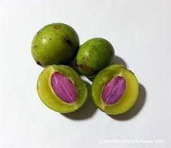 Attēlu rezultāti vaicājumam “Sagittaria sagittifolia fruit”