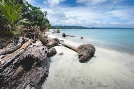Image result for cahuita costa rica
