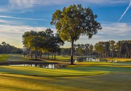 Image result for Tadworth Athletic Club