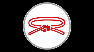 Image result for Absolute tae kwon do association