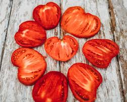 Afbeeldingsresultaat voor anna russian tomato