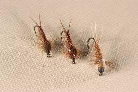 Attēlu rezultāti vaicājumam “nymph”