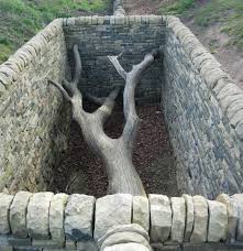 Goldsworthy