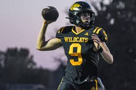 Image result for West London Wildcats