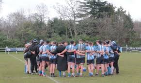 Image result for St Mary's Old Boys Rugby Union Football Club