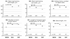 Attēlu rezultāti vaicājumam “Homomallium incurvatum sporophyte”