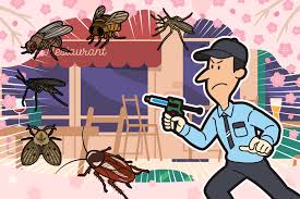 Image result for ゴキブリ報告所