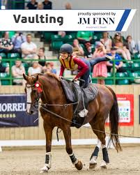 Image result for Riding For The Disabled Association