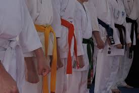 Image result for Windsor Higashi Karate Club