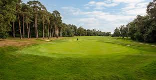 Image result for Chelmsford Gc