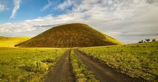 Attēlu rezultāti vaicājumam “Craterium sp.”