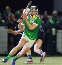 Image result for University Of Limerick Gaa Hurling Club