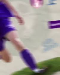 Image result for Crawley Green Sports & Social Club