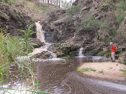 Image result for Strathbogie Rambling Club