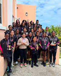 Image result for Phoenix Netball Club