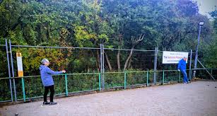 Image result for Nutbrook Petanque Club