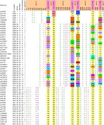 Attēlu rezultāti vaicājumam “Lamproderma puncticulatum stalked”