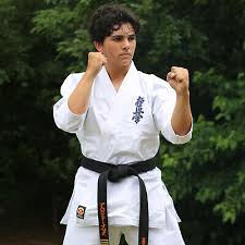 Image result for Kyokushin Karate