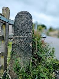 Image result for Glossopdale Devils