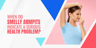Image result for armpits are fine too