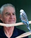 REWARDING HOBBY: Ray Webber with one of his 22 budgies. - 6965440