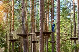 Image result for Go Ape! Dalby