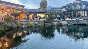 Image result for 水野X68仁義