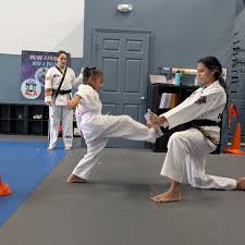 Image result for ATA Martial Arts Mobile