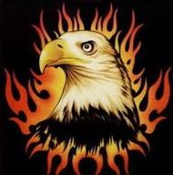 Image result for New Eagles Badminton Club