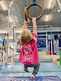 Image result for Rushmoor Amateur Gym Club