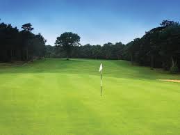 Image result for Falmouth Scrabble Club