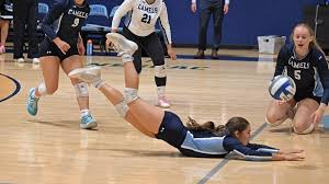 Image result for Newbury Volleyball Club