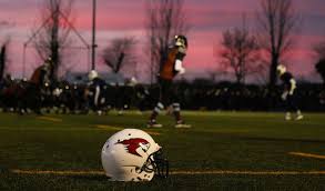 Image result for Ukc Falcons