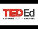 EDU - YouTube picture