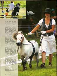 Zeitschrift Cavallo; Ausgabe September 2008; Bericht über Shetland Pony Games 2008. in Redefin von Kristina Glaser