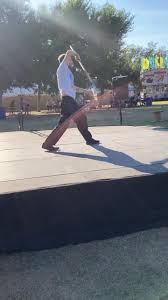 Image result for Tao So Choy Kung Fu Club, Hull