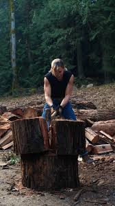 Attēlu rezultāti vaicājumam “Postia sericeomollis”