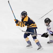 Image result for Weston-Super-Mare Mens Hockey Club