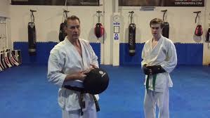 Image result for Norfolk Karate