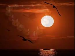 ibrahim sadri - bir yast�kta [ s�per �iir ]