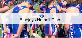 Image result for Blue Jays Netball Club