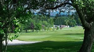 Image result for Newton Abbot Somersaults Gc