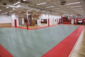 Image result for Bridge Hall Bujinkan Dojo